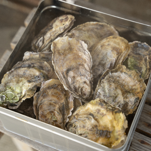 shopSD009_cool1_item02