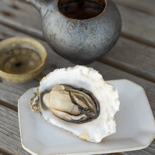 shopSD009_cool1_item02